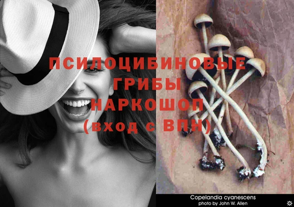 соль курить ск Горнозаводск
