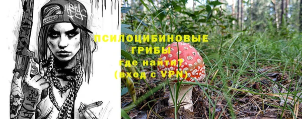 молекула духа Горно-Алтайск