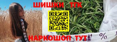 spice Гатчина