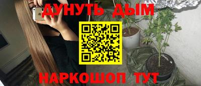spice Гатчина
