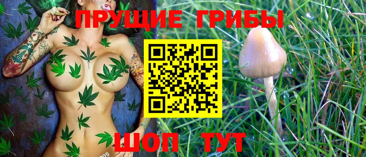 Псилоцибиновые грибы MAGIC MUSHROOMS Звенигород