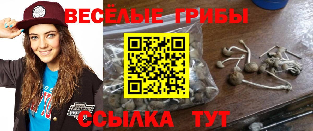Звенигород  Галлюциногенные грибы Magic Shrooms  Вход с VPN 